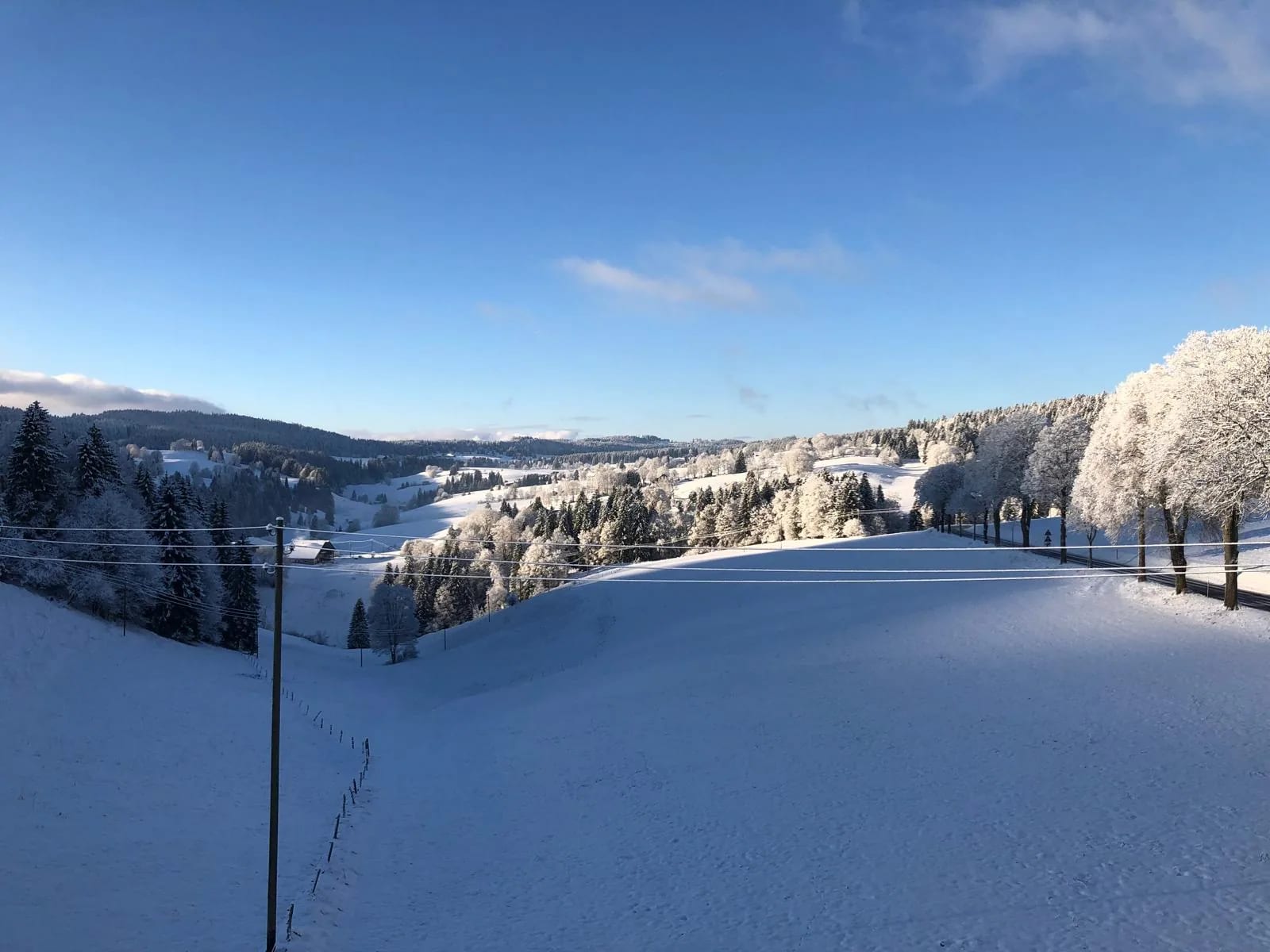 Panorama hivernal du Val-de-Travers — pâturages enneigés et sapins givrés sous un ciel d'azur