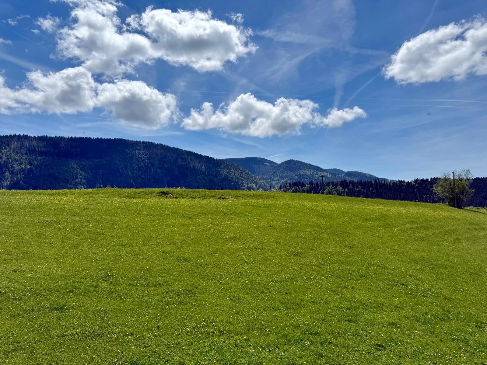 Vue d'été sur le Chasseron (1607 m) depuis EssenceCiel — prairie verte du Val-de-Travers et chaîne jurassienne