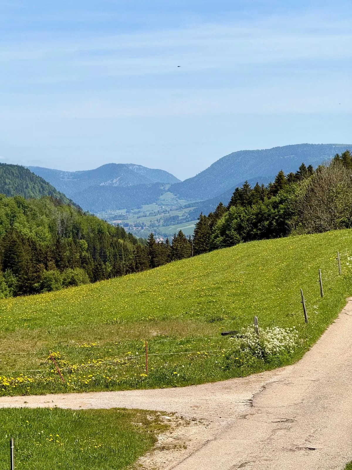 Val-de-Travers au printemps — prairie de pissenlits en fleur et chaîne du Jura à l'horizon, vue depuis EssenceCiel